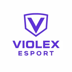 VlX (Joueur))