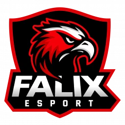 Falix Esports