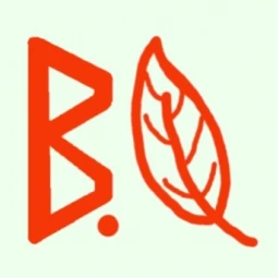 belief e-sports
