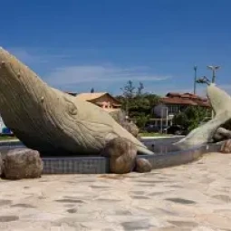Baleia do rio