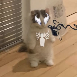 venomcat