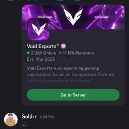 Void Esports
