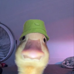 duk