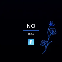 No Idea