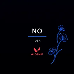 No Idea