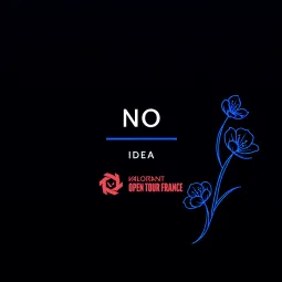 No Idea