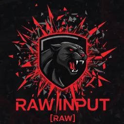 Raw Input