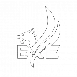 EXECUTION X ESPORT