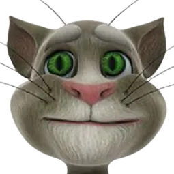Temo