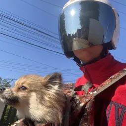 Loki
