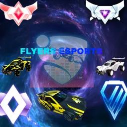 TEAM FLYERS