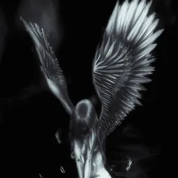 sinRage