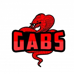 GabS TEAM