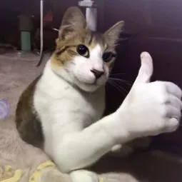 KikoLvsYou