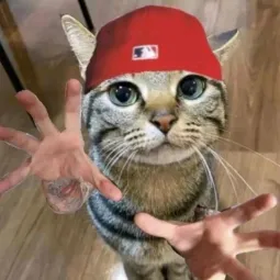dudu