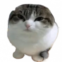 Kenju