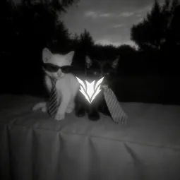 vul