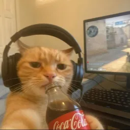 kat