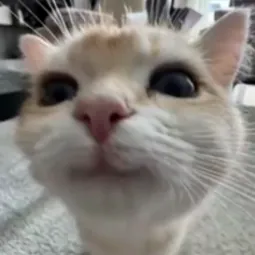 Hnri