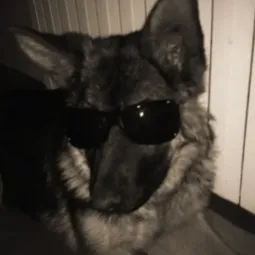 vustt