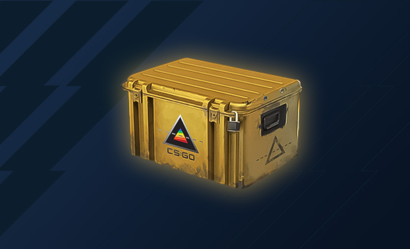 CS2 Prisma 2 Case