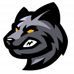 LYRAX TEAM