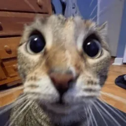 Psyko