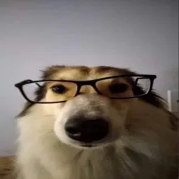 Jirku