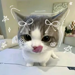 Kaïto