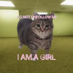 Free-4-ALL
