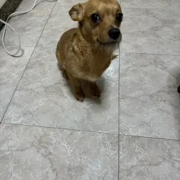 Juan♠️