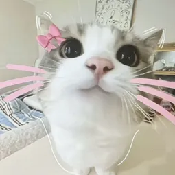 Laura<3