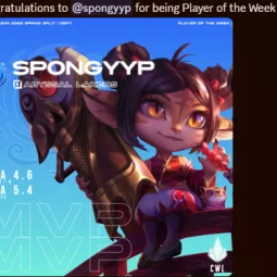 spongyyp