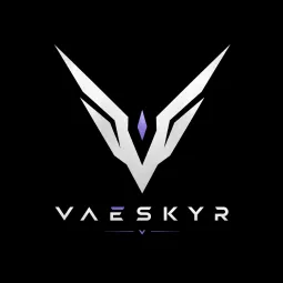 Vaeskyr