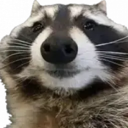 Default
