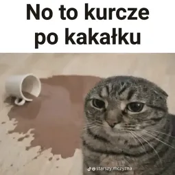 Depresja