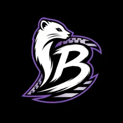 Breizh esport