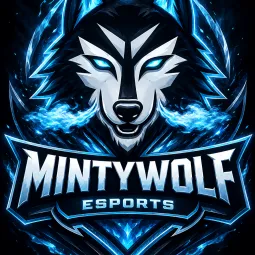 MINTY (Joueur))