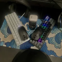 patsonicc.