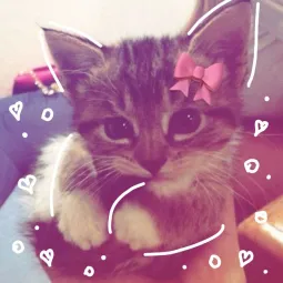 Kamia