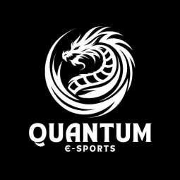 Quantum Gaming