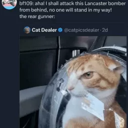 HeadBomba