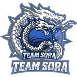 Team Sora
