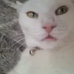 ben