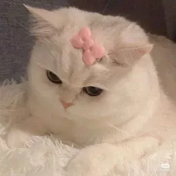 Rara