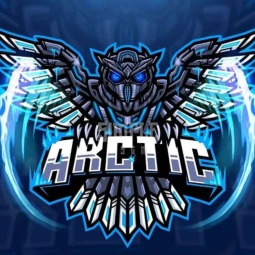 A r c t i c
