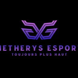 NT ({"id":9,"game_custom_field_id":7,"value":{"en":"Player","fr":"Joueur"},"image":"https:\/\/curry.gg\/uploads\/59\/agMvUeTsJEuXdR3r03PtjXJfdkranN-metaUGxheWVyLnBuZw==-.png","slug":"player","order":9,"created_at":"2022-08-03T09:05:26.000000Z","updated_at":"2025-01-28T08:45:08.000000Z","media":[{"id":59,"model_type":"App\\Models\\GameCustomFieldValue","model_id":9,"uuid":"ad37263a-f2f7-4c4b-8ea7-1a664f29b727","collection_name":"game_custom_field_value","name":"Player","file_name":"agMvUeTsJEuXdR3r03PtjXJfdkranN-metaUGxheWVyLnBuZw==-.png","mime_type":"image\/png","disk":"uploads","conversions_disk":"uploads","size":15429,"manipulations":[],"custom_properties":[],"generated_conversions":[],"responsive_images":[],"order_column":1,"created_at":"2022-08-17T14:52:53.000000Z","updated_at":"2022-08-17T14:52:53.000000Z","original_url":"https:\/\/curry.gg\/uploads\/59\/agMvUeTsJEuXdR3r03PtjXJfdkranN-metaUGxheWVyLnBuZw==-.png","preview_url":""}]})