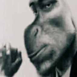 lenzoszt