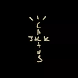 pain