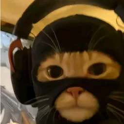 Bob